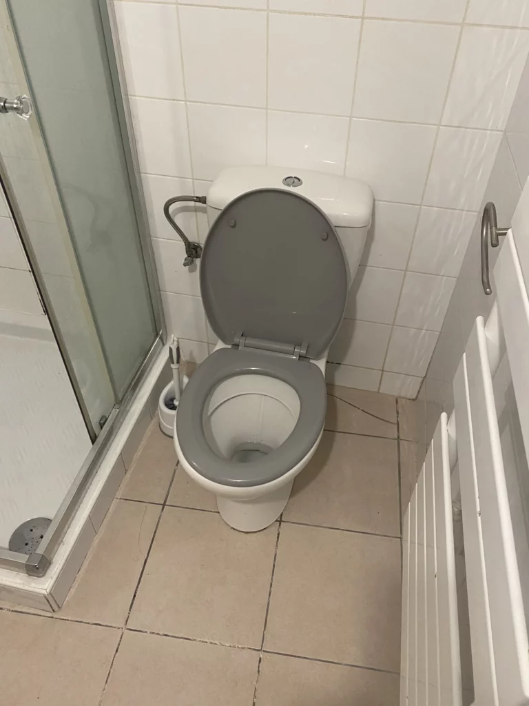 Ancien carrelage de sol beige dans un WC avant rénovation carrelage à Bons-en-Chablais.