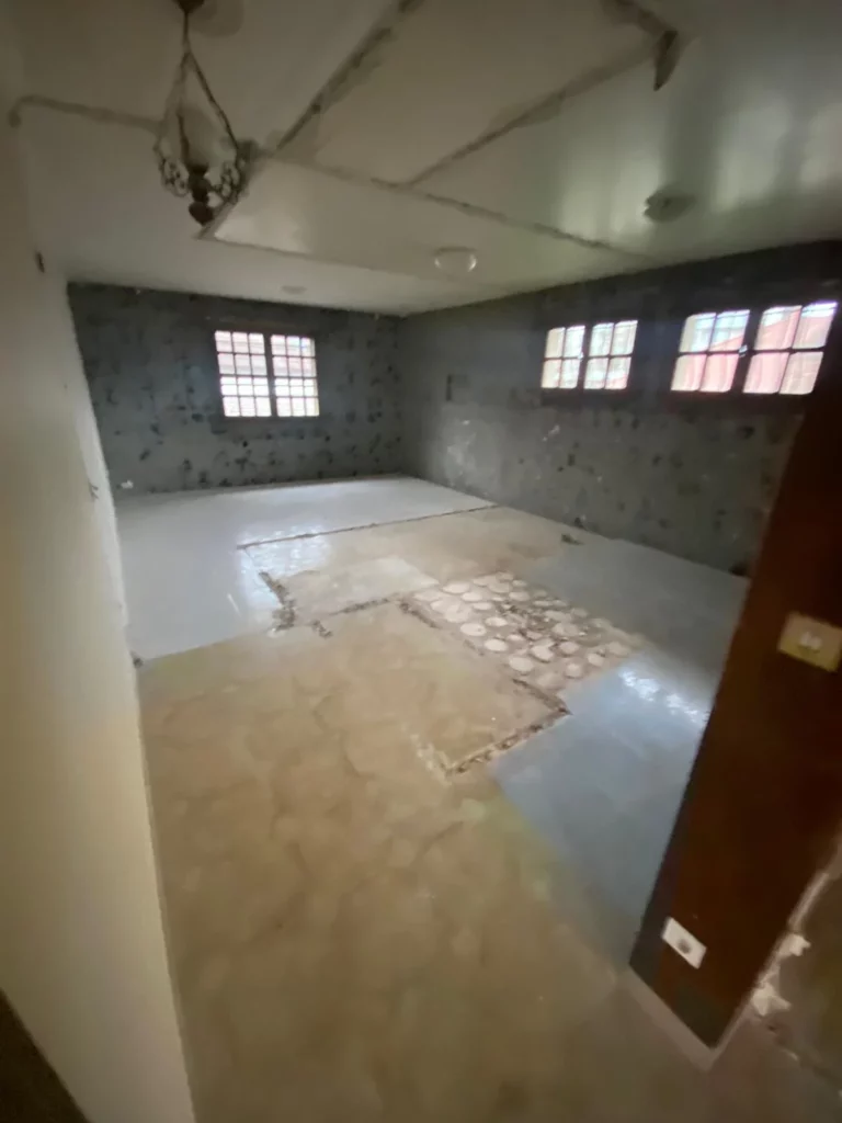 Pièce d'une grande maison à Annemasse en cours de démolition, murs piqués et carrelage retiré par zones.