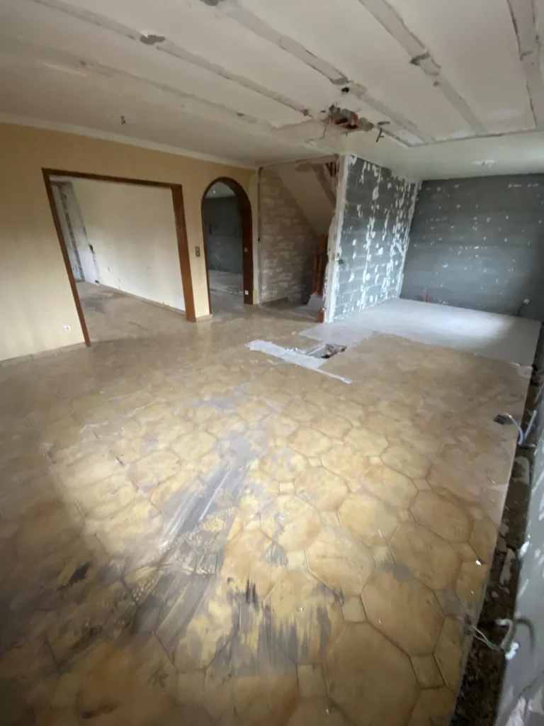 Démolition d'une grande maison à Annemasse : vue des pièces après retrait des cloisons et mise à nu des plafonds.