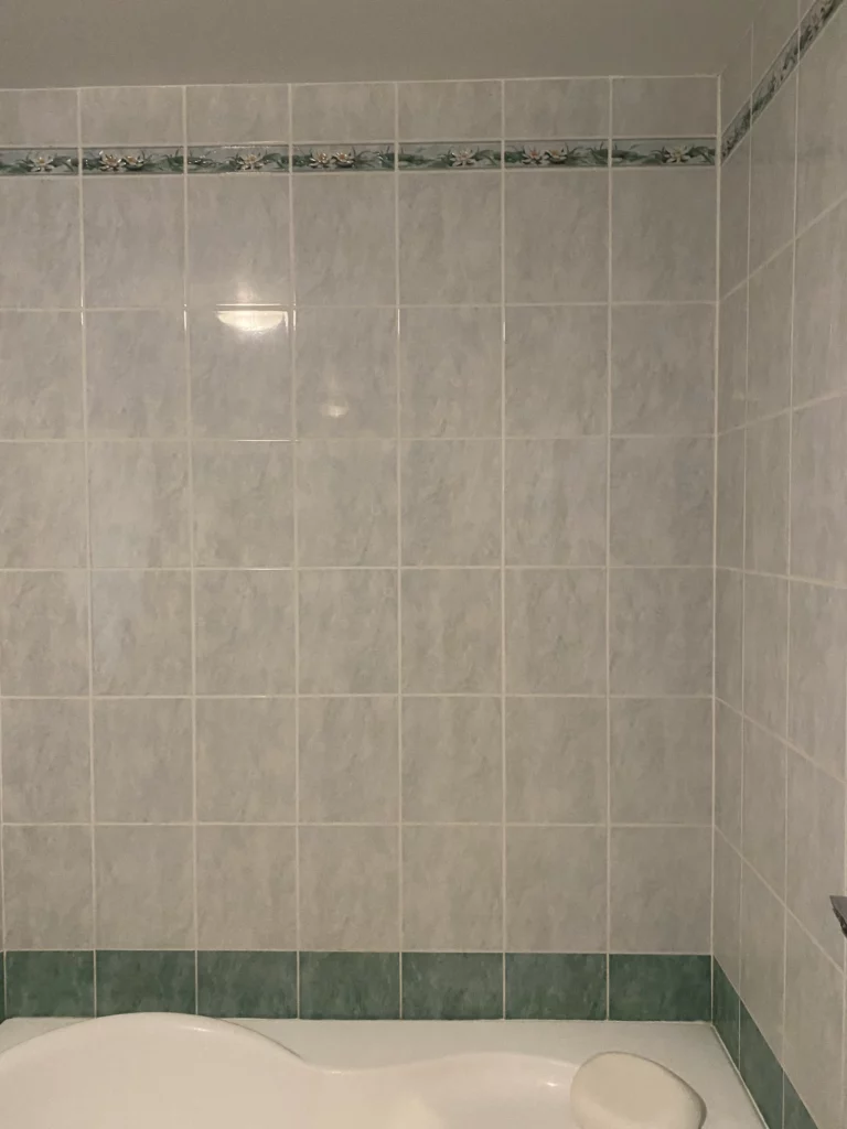 Mur de salle de bain avant rénovation à Annemasse recouvert de faïence grise et frise fleurie avec baignoire ancienne