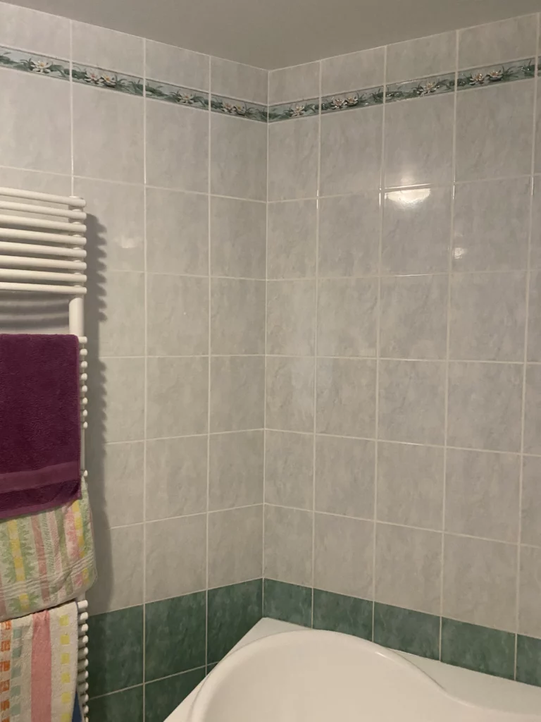 Salle de bain avant rénovation à Annemasse avec faïence grise, frise fleurie et carrelage vert autour de la baignoire
