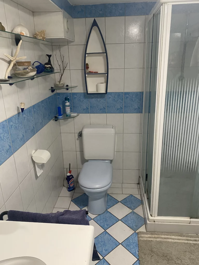 Salle de bain avant rénovation à Allinges avec carrelage bleu et blanc daté