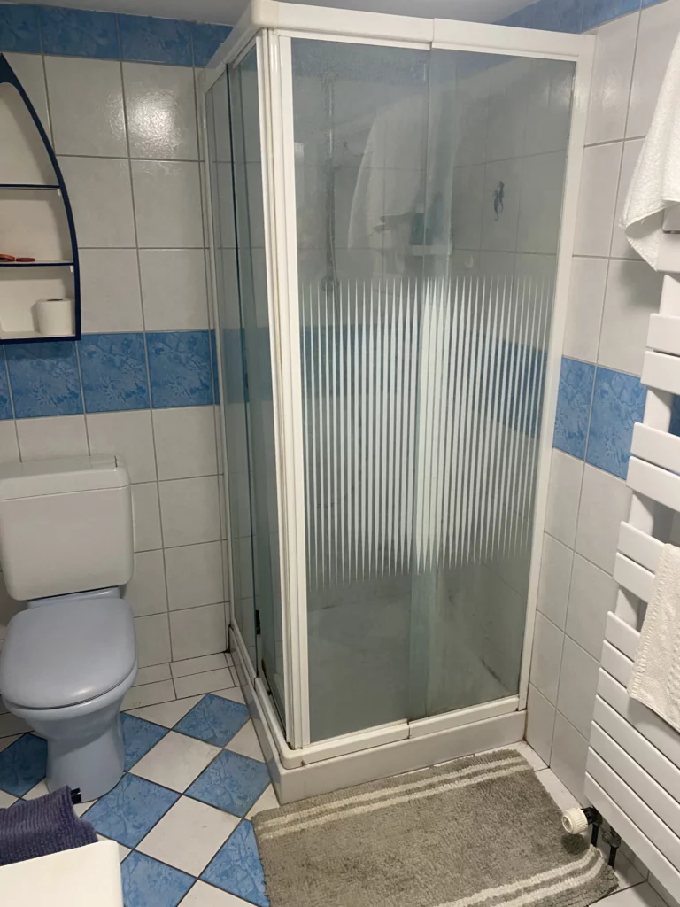Salle de bain avant rénovation à Allinges avec cabine de douche d'angle et WC datés