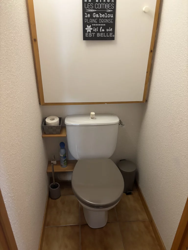 WC avant rénovation à Châtel avec abattant taupe, étagère bois et sol en tomettes