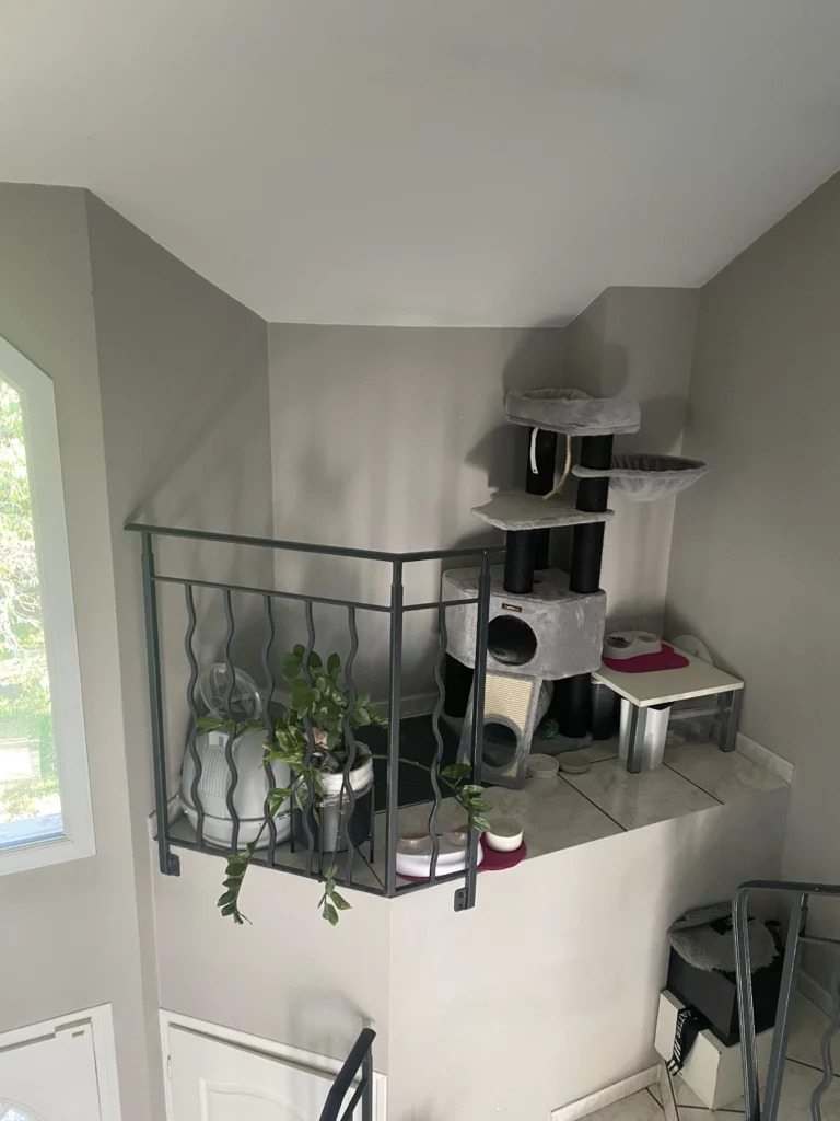 Coin animalier aménagé avec carrelage clair après rénovation Gaillard