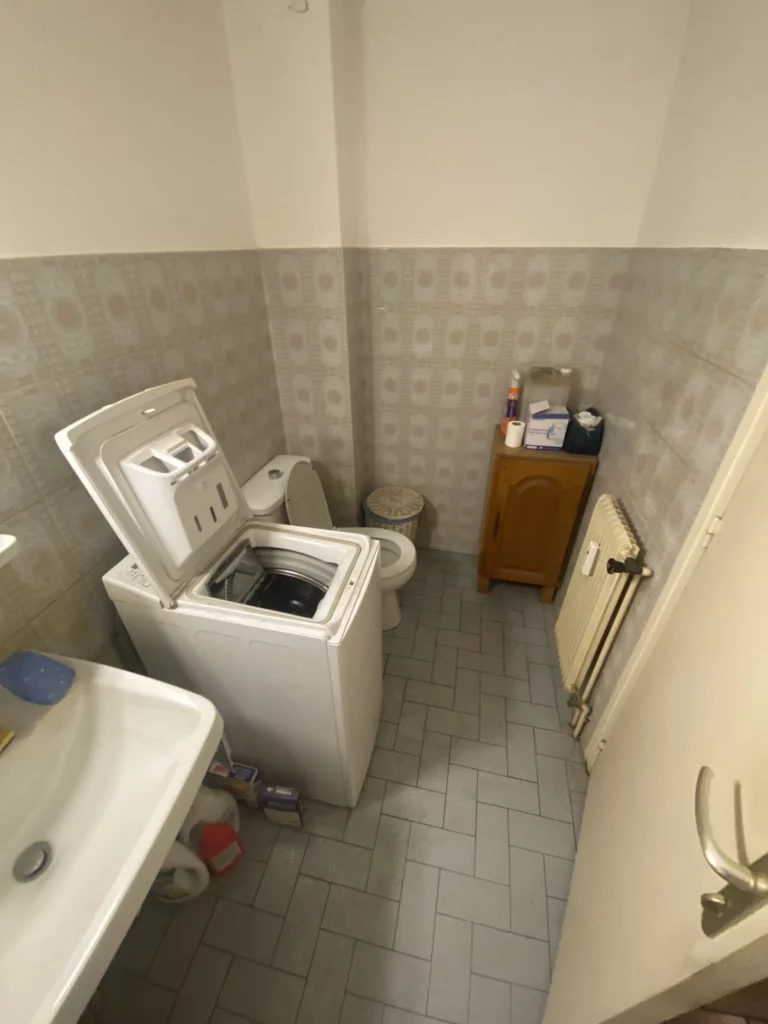 Avant rénovation d'une salle de bain à Douvaine : WC, lave-linge et faïence ancienne à motifs
