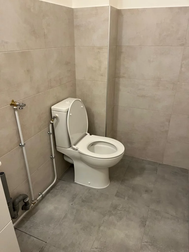 renovation-salle-de-bain-douvaine-wc-apres-travaux